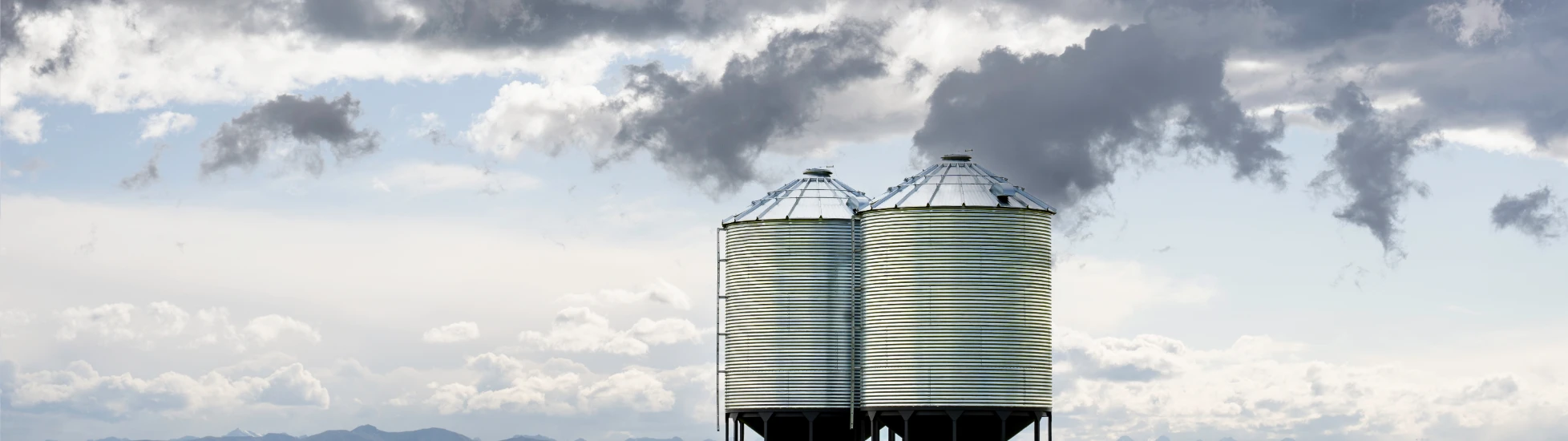Large grey metal grain silos in a field of yellow flowers